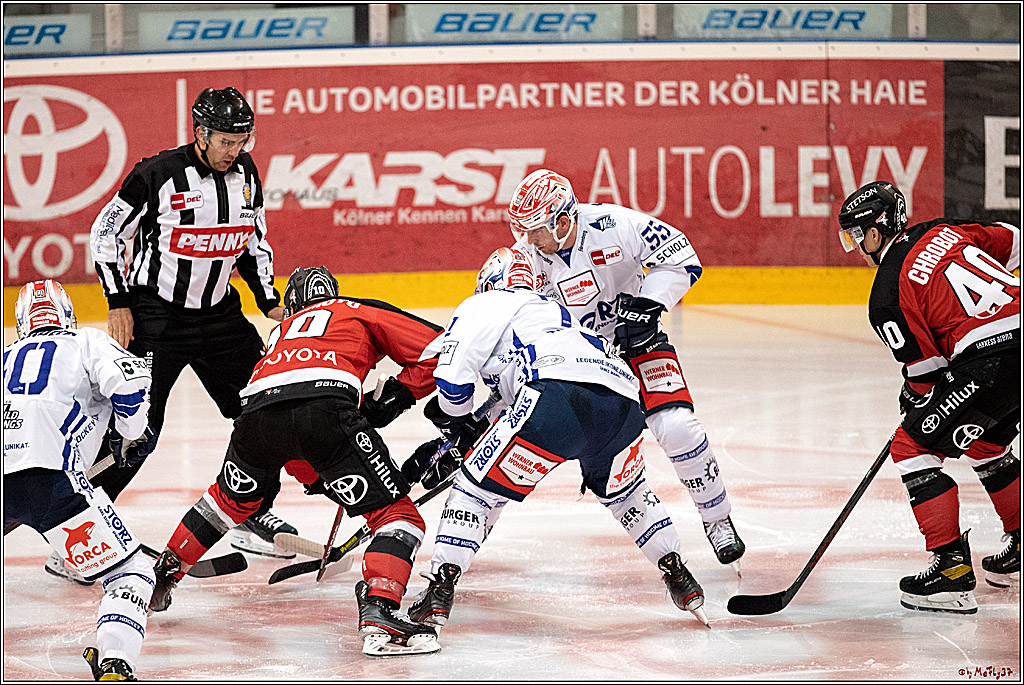 PENNY DEL;  Koelner Haie - Schwenninger Wild Wings; Koeln, 13.08.2021